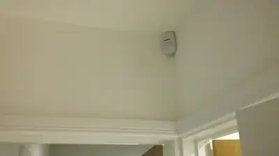 Pet sensitive motion detector